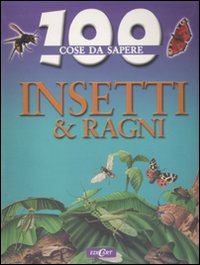 Insetti e ragni