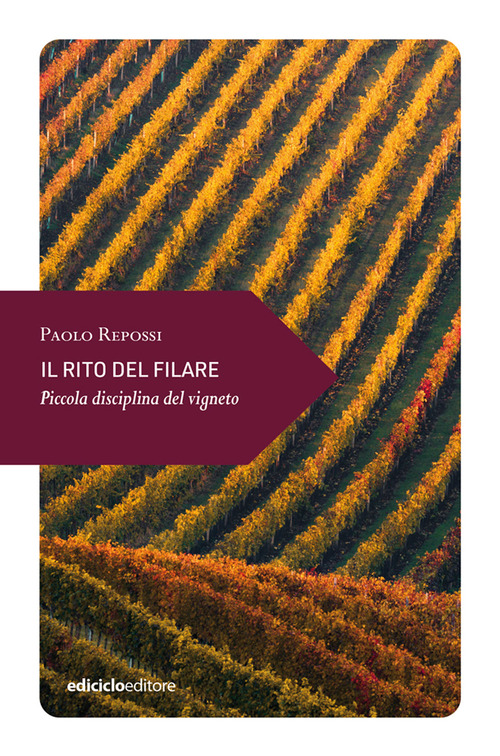 Photo gallery principale
