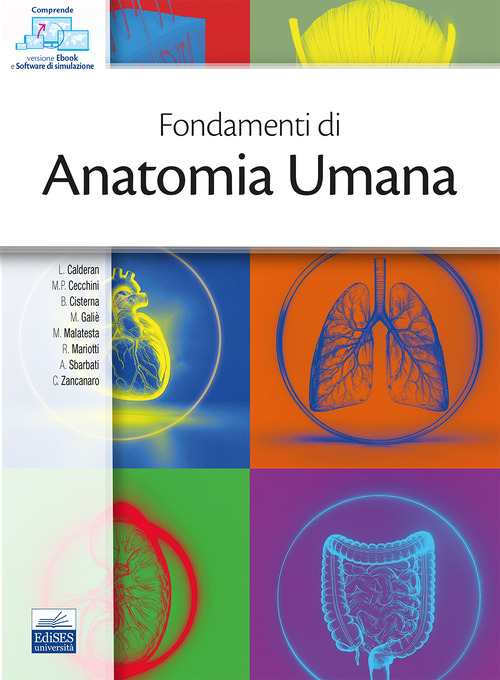 Fondamenti di anatomia umana