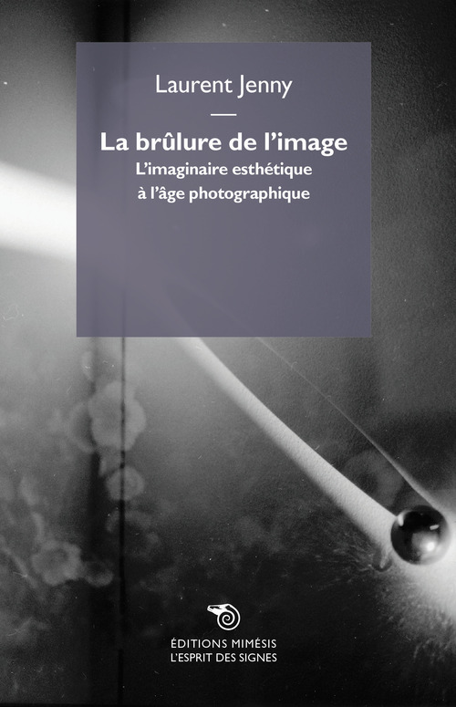 La br&ucirc;lure de l'image. L'imaginaire esth&eacute;tique &agrave; l'&acirc;ge photographique