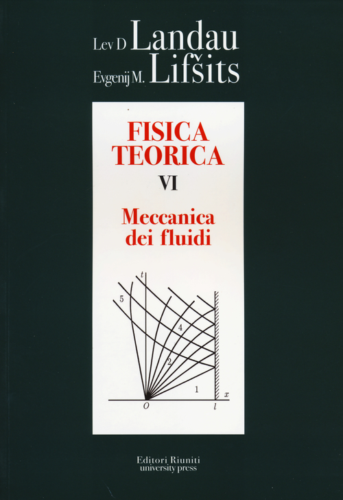 Fisica teorica