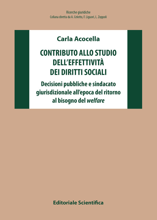 Contributo allo studio dell'effettivit&agrave; dei diritti sociali. Decisioni pubbliche e sindacato giurisdizionale all'epoca del ritorno al bisogno del welfare