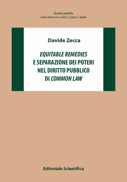 &laquo;Equitable remiedies&raquo; e separazione dei poteri nel diritto pubblico di &laquo;common law&raquo;