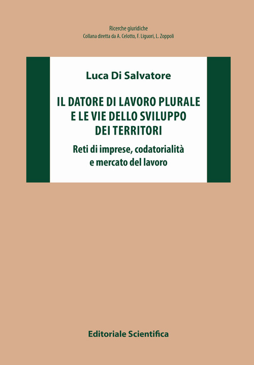 Il datore di lavoro plurale e le vie dello sviluppo dei territori. Reti di imprese, codatorialit&agrave; e mercato del lavoro