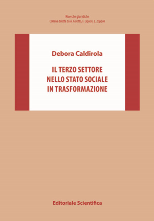 Il Terzo settore nello Stato sociale in trasformazione