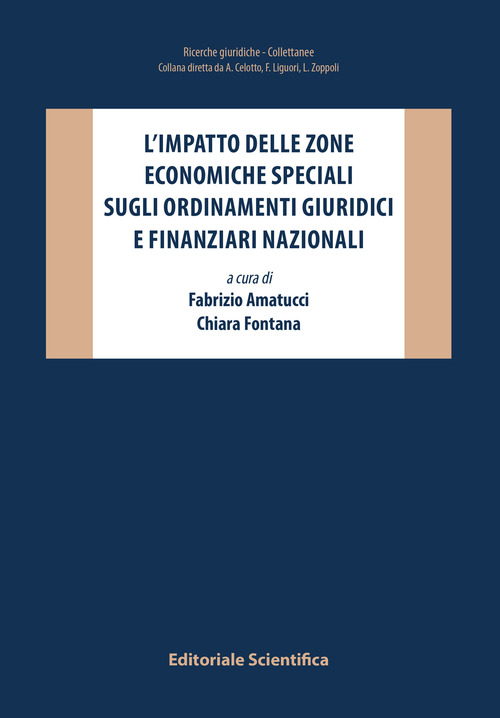 L'impatto delle zone economiche speciali sugli ordinamenti giuridici e finanziari nazionali