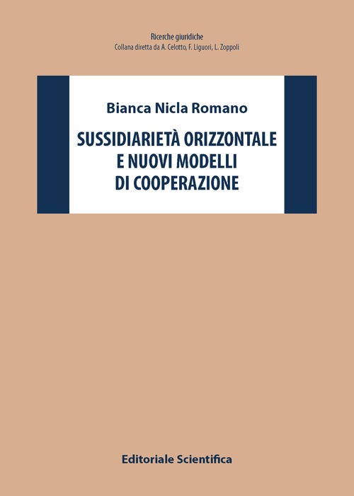 Sussidiariet&agrave; orizzontale e nuovi modelli di cooperazione