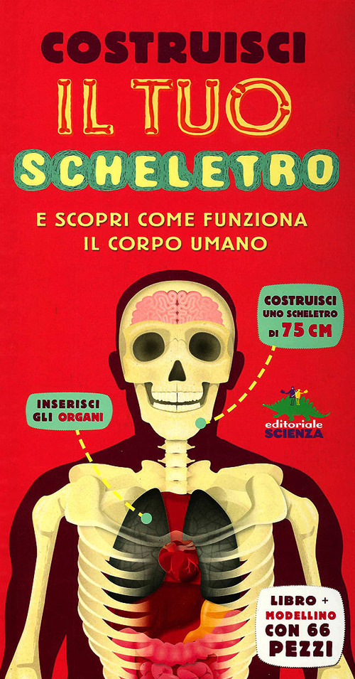 Costruisci il tuo scheletro e scopri come funziona il corpo umano