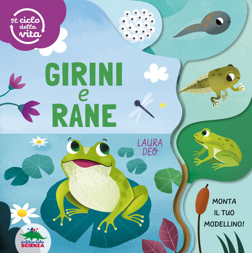 Girini e rane. Il ciclo della vita