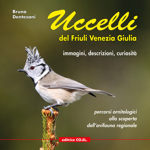 Uccelli del Friuli Venezia Giulia. Immagini, descrizioni, curiosit&agrave;. Percorsi ornitologici alla scoperta dell'avifauna regionale