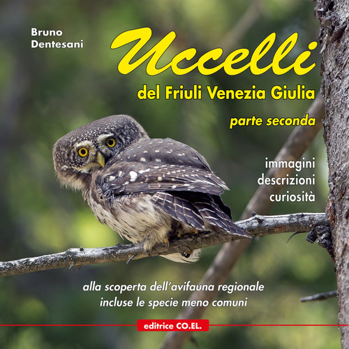 Uccelli del Friuli Venezia Giulia. Immagini, descrizioni, curiosit&agrave;. Percorsi ornitologici alla scoperta dell'avifauna regionale