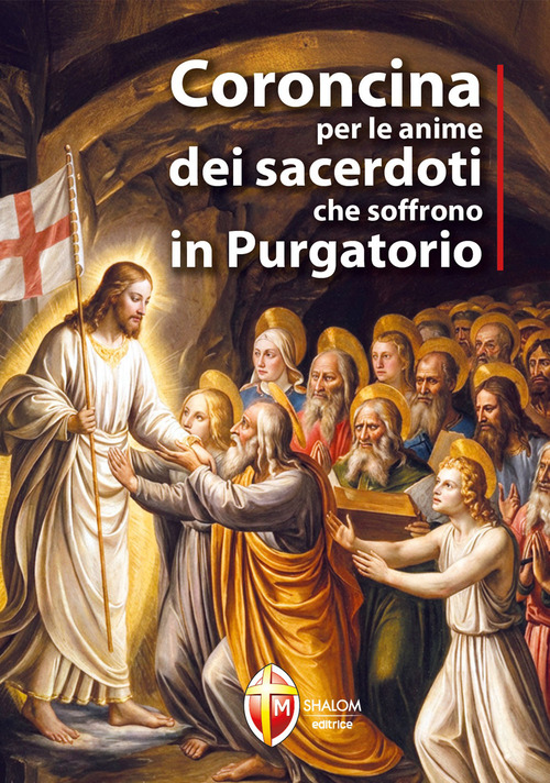 Coroncina per le anime dei sacerdoti che soffrono in purgatorio