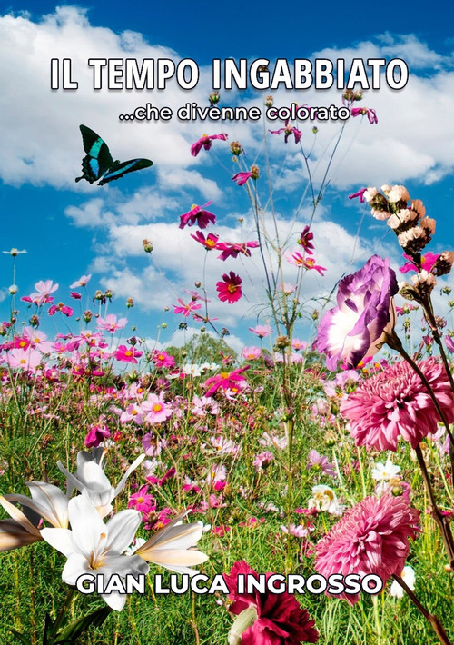 Il tempo ingabbiato ...che divenne colorato