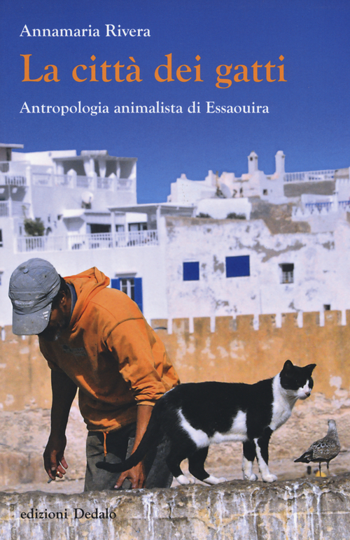 La città dei gatti. Antropologia animalista di Essaouira