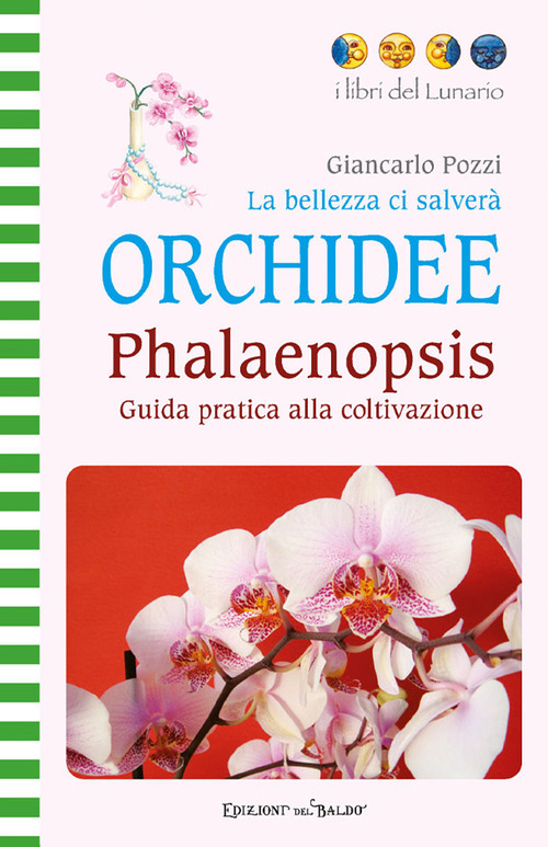 La bellezza ci salver&agrave;. Orchidee. Phalaenopsis