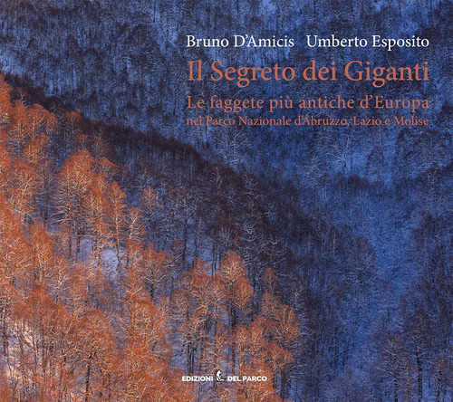 Il segreto dei giganti. Le faggete più antiche d'Europa nel Parco Nazionale d'Abruzzo, Lazio e Molise. Ediz. italiana e inglese