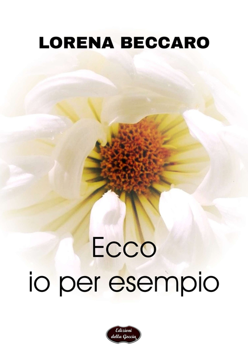 Photo gallery principale