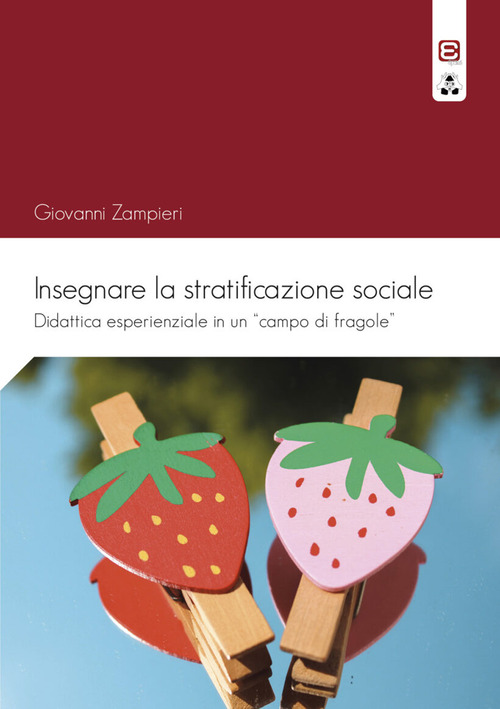 Insegnare la stratificazione sociale. Didattica esperienziale in un &laquo;campo di fragole&raquo;