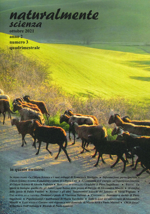 Photo gallery principale