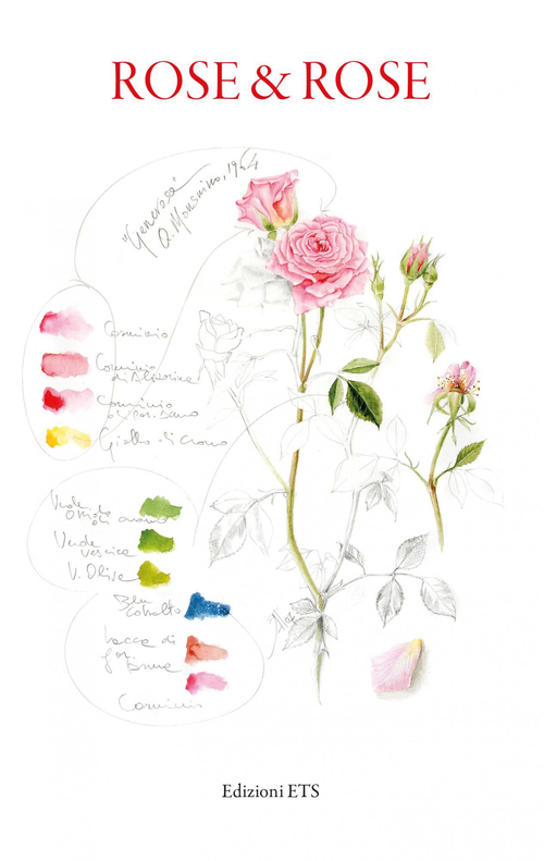 Rose & rose