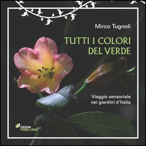 Photo gallery principale