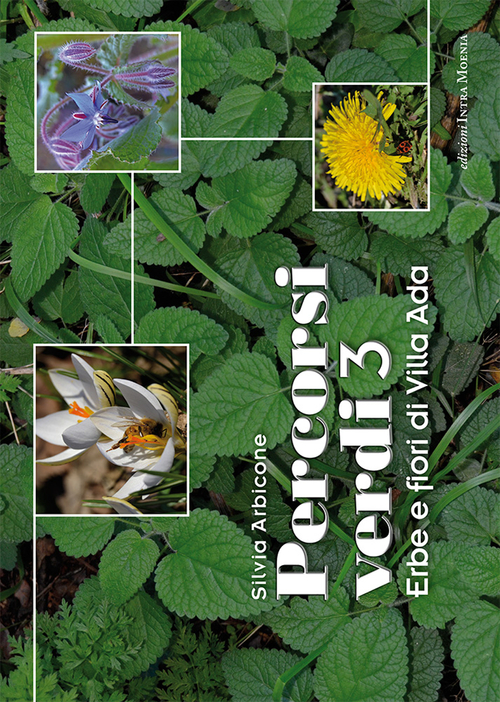 Percorsi verdi. Incontri con gli alberi di Villa Ada