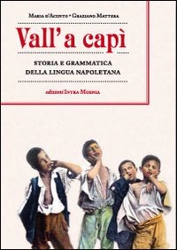 Vall' a cap&igrave;. Storia e grammatica della lingua napoletana