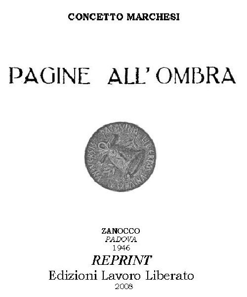 Pagine all'ombra