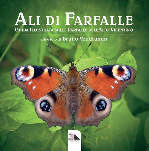 Ali di farfalle. Guida illustrata sulle farfalle del'Alto Vicentino