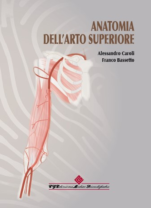 Anatomia dell'arto superiore