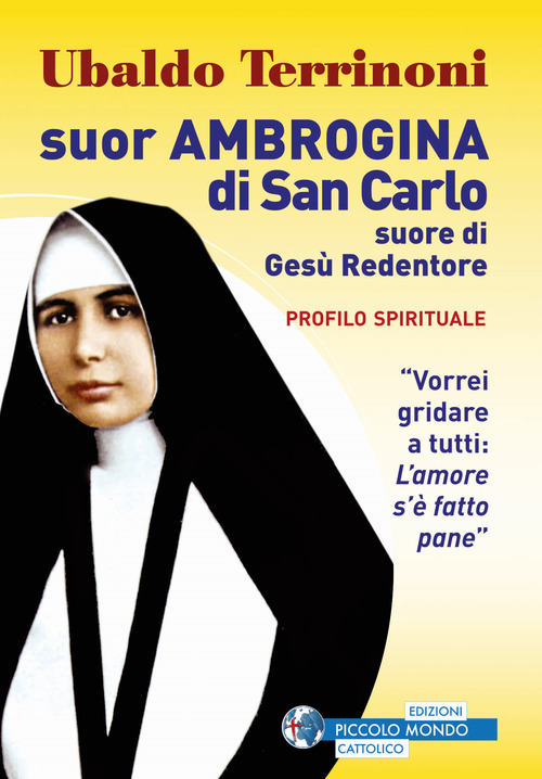 Suor Ambrogina di San Carlo. Profilo spirituale
