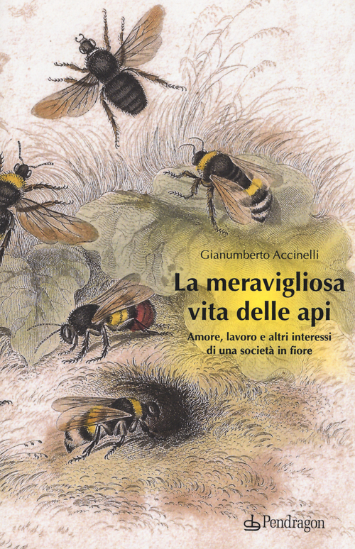 La meravigliosa vita delle api. Amore, lavoro e altri interessi di una societ&agrave; in fiore