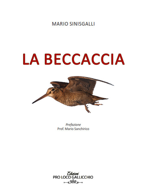 La beccaccia