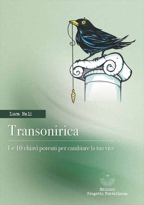 Transonirica. Le 10 chiavi potenti per cambiare la tua vita