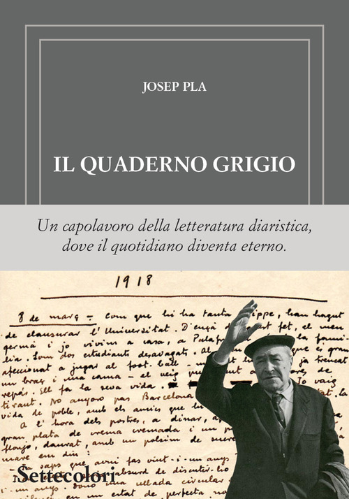 Il quaderno grigio