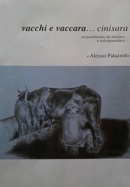 Photo gallery principale
