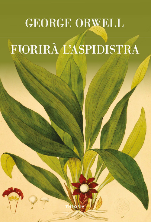 Fiorirà l'aspidistra