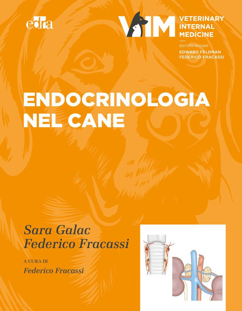 Endocrinologia del cane
