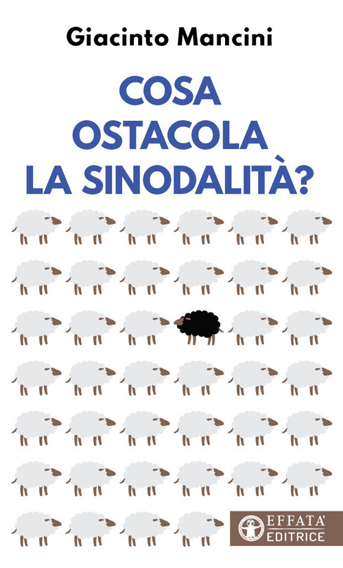 Cosa ostacola la sinodalit&agrave;?