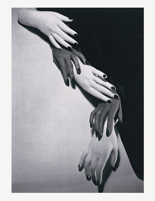 Fotosintesi. Fotografie dalla collezione Carla Sozzani. Ediz. italiana e inglese