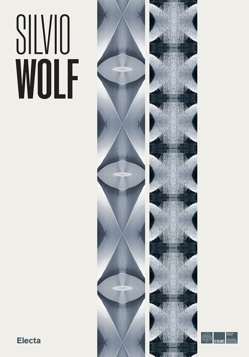 Silvio Wolf. Il senso del luogo. Ipogeo apogeo e altre installazioni ambientali