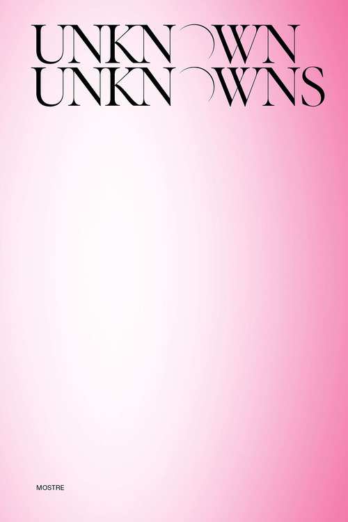 Unknown Unknowns. An introduction to mysteries. Mostre
