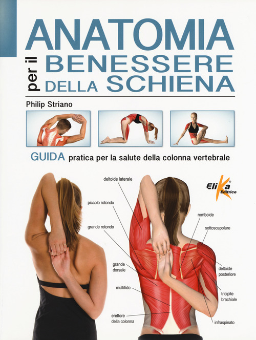 Anatomia per il benessere della schiena. Guida pratica per la salute della colonna vertebrale