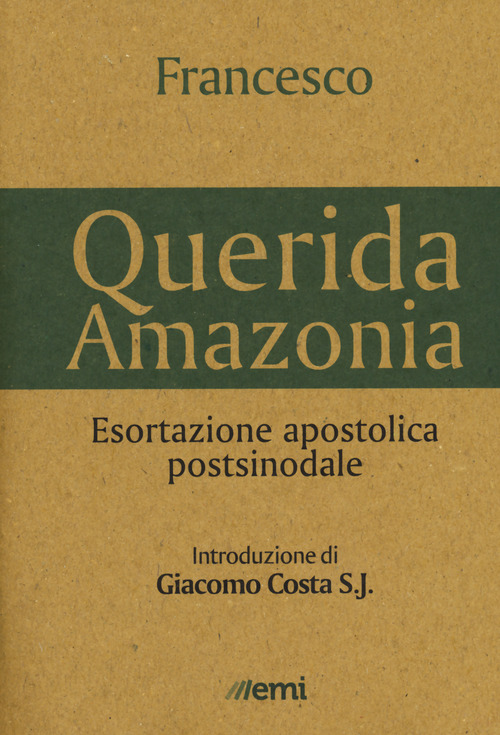 &laquo;Querida Amazonia&raquo;. Esortazione apostolica postsinodale