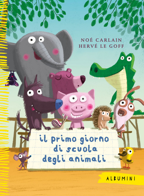 Photo gallery principale
