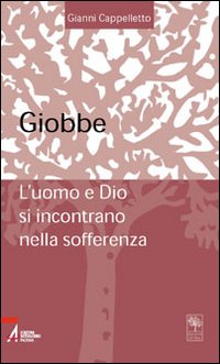 Giobbe. L'uomo e Dio si incontrano nella sofferenza