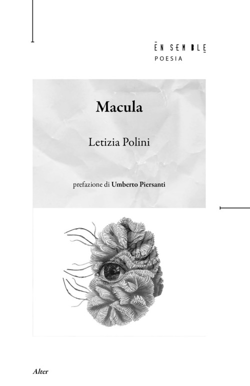 Macula