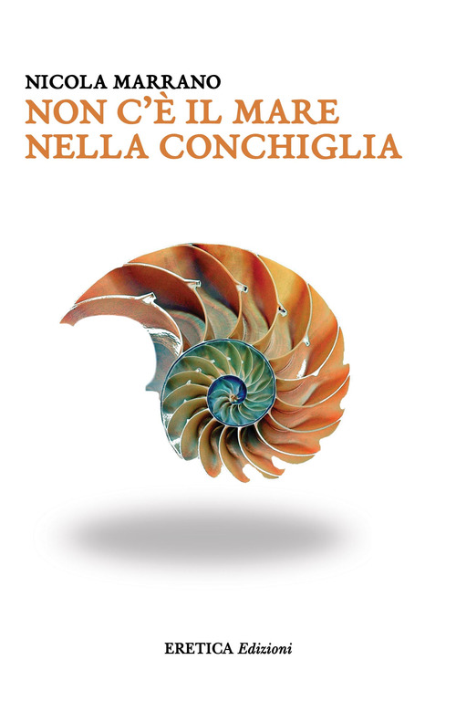 Non c'è il mare nella conchiglia