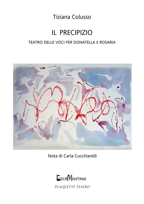 Il precipizio. Teatro delle voci per Donatella e Rosaria
