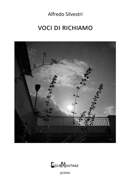 Photo gallery principale